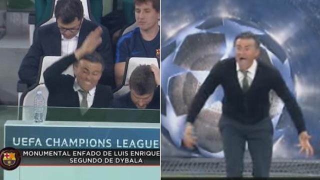 成人国产精品一区二区免费看