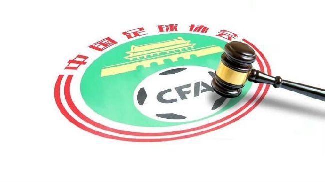 国产精品久久久久国产精品
