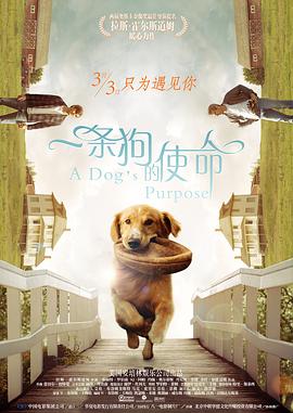 国产制服丝袜av
