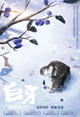梅花三弄 电视剧