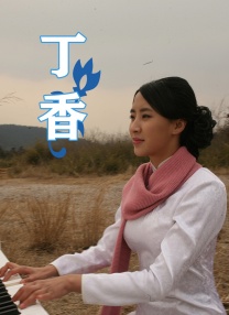 免费黄色软装