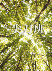 岛国不卡av