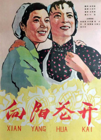 青青青爽在线视频观看