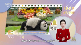 久久国产精品一区